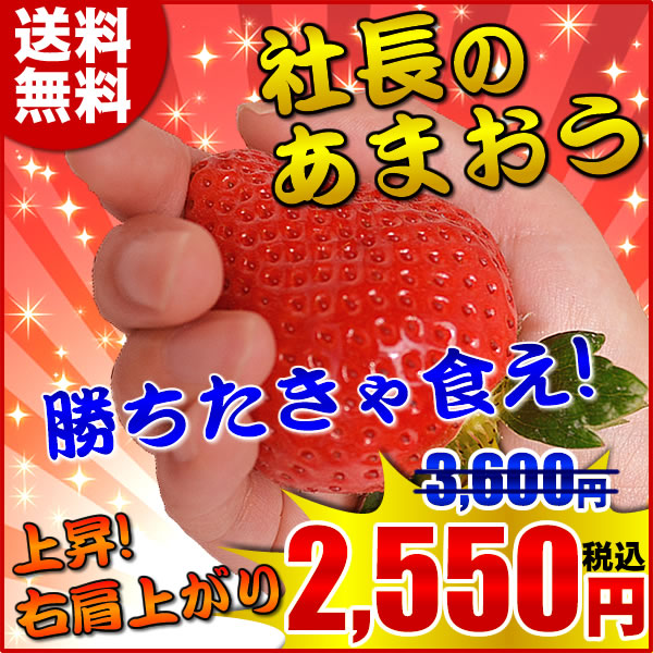 特大「楢原あまおう」苺（いちご）あまおうイチゴ いいもの【あるファーム】九州