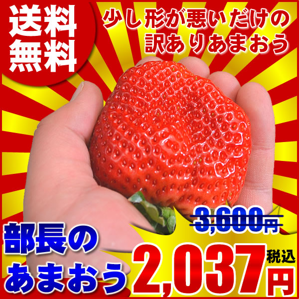 特大「楢原あまおう」苺（いちご）あまおうイチゴ いいもの【あるファーム】九州